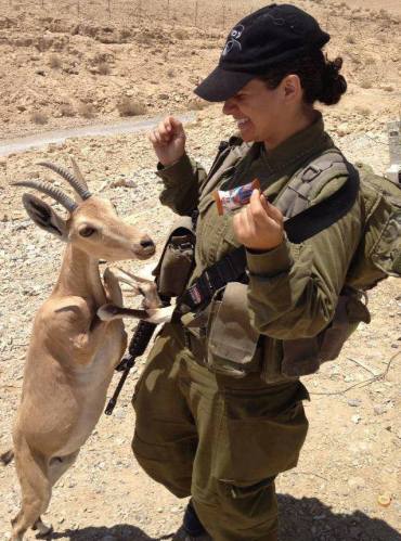 Nena IDF con cabrita