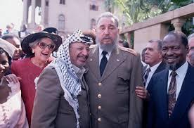 Castro y Arafat